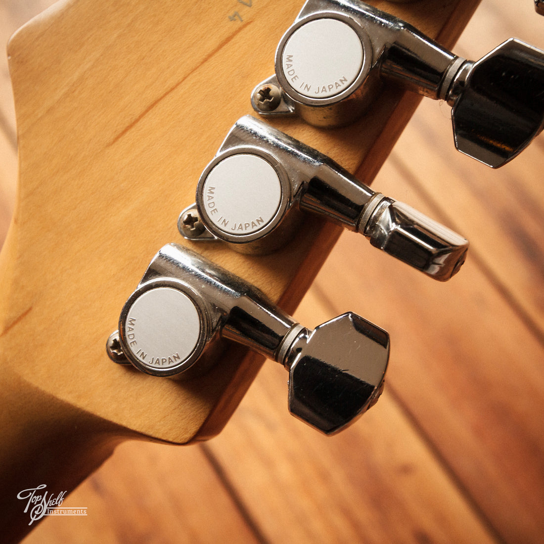 History ZSG-CFS German Black 2001