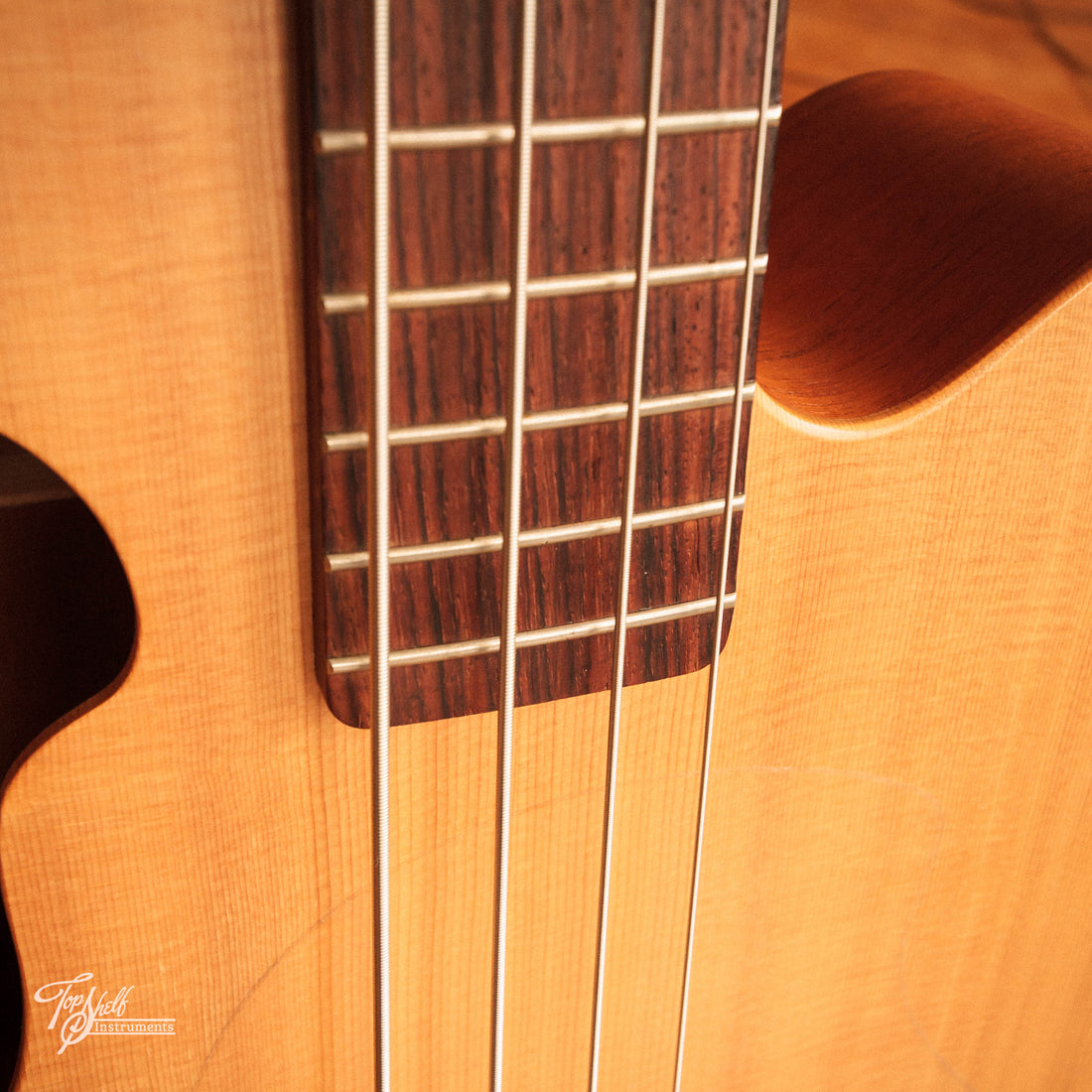Tacoma Thunderchief CB10 Acoustic Bass Natural 2001