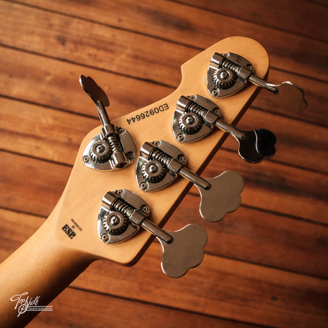 Edwards E-AM-160QM 5-String Black Cherry 2009