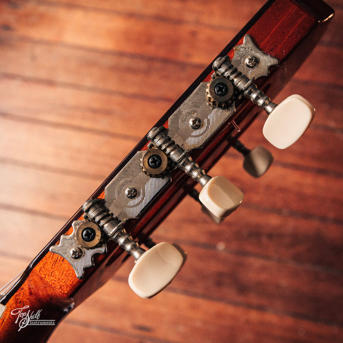 Aria AC25 Concert Classical 2005