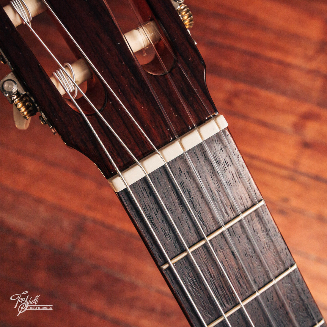 Aria AC25 Concert Classical 2005