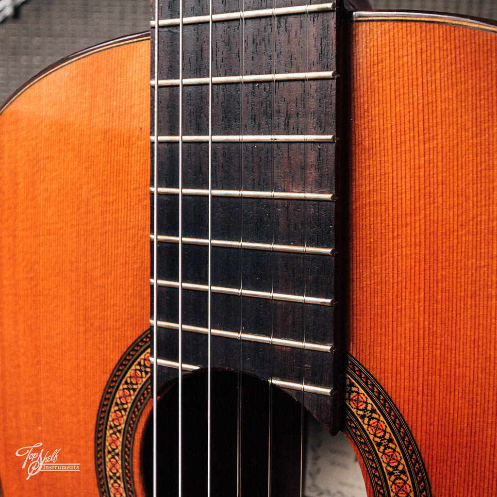 Aria AC25 Concert Classical 2005