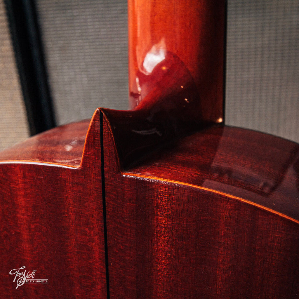 Aria AC25 Concert Classical 2005