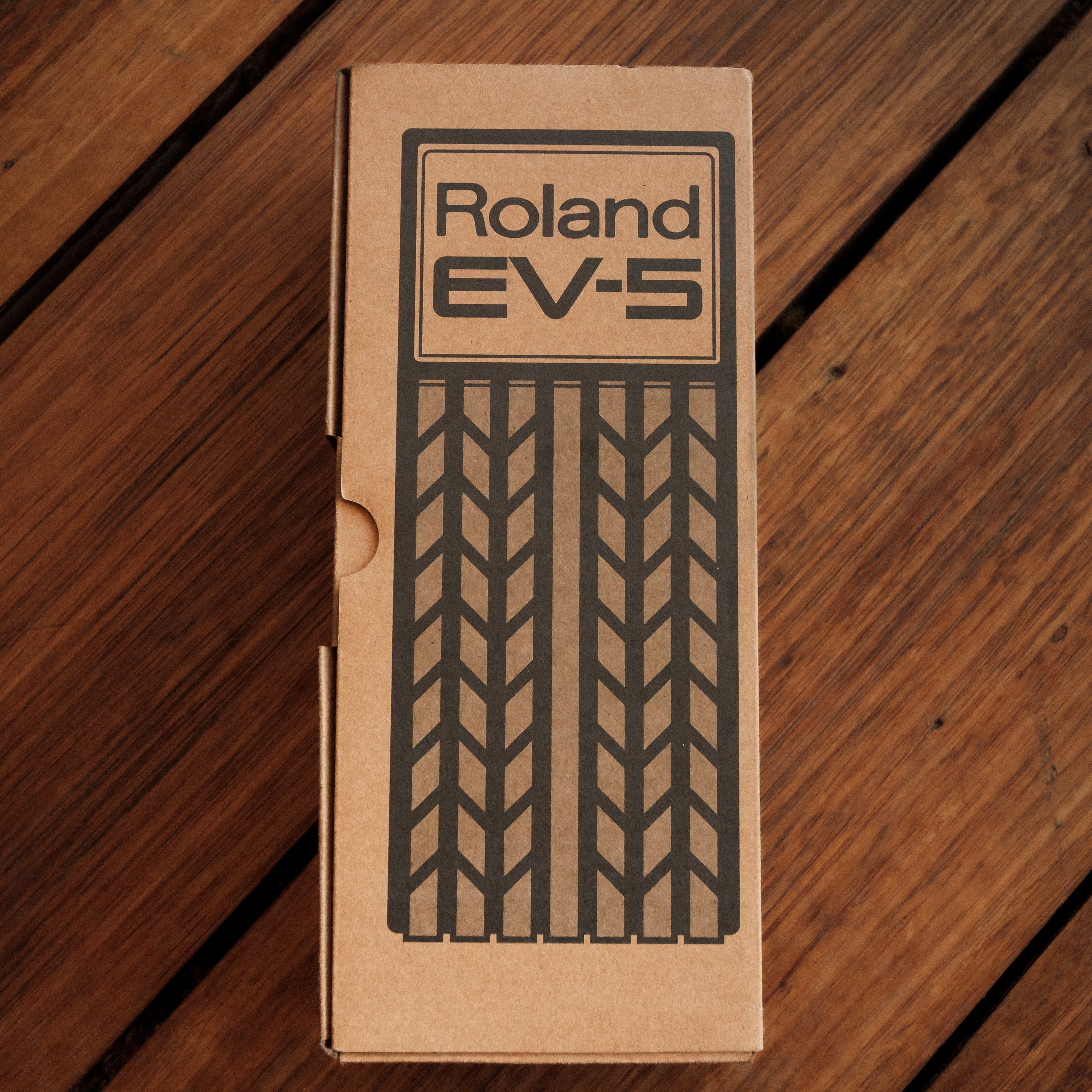 Roland EV-5 Expression Pedal – Topshelf Instruments