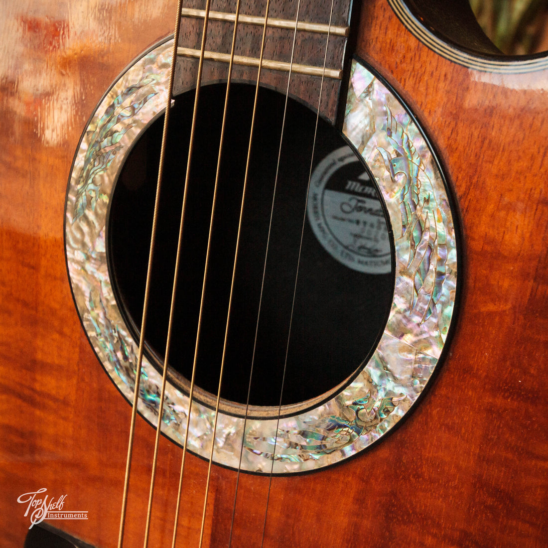 Morris Tornado Series WT808 Bowl-Back Acoustic/Electric Natural 1989