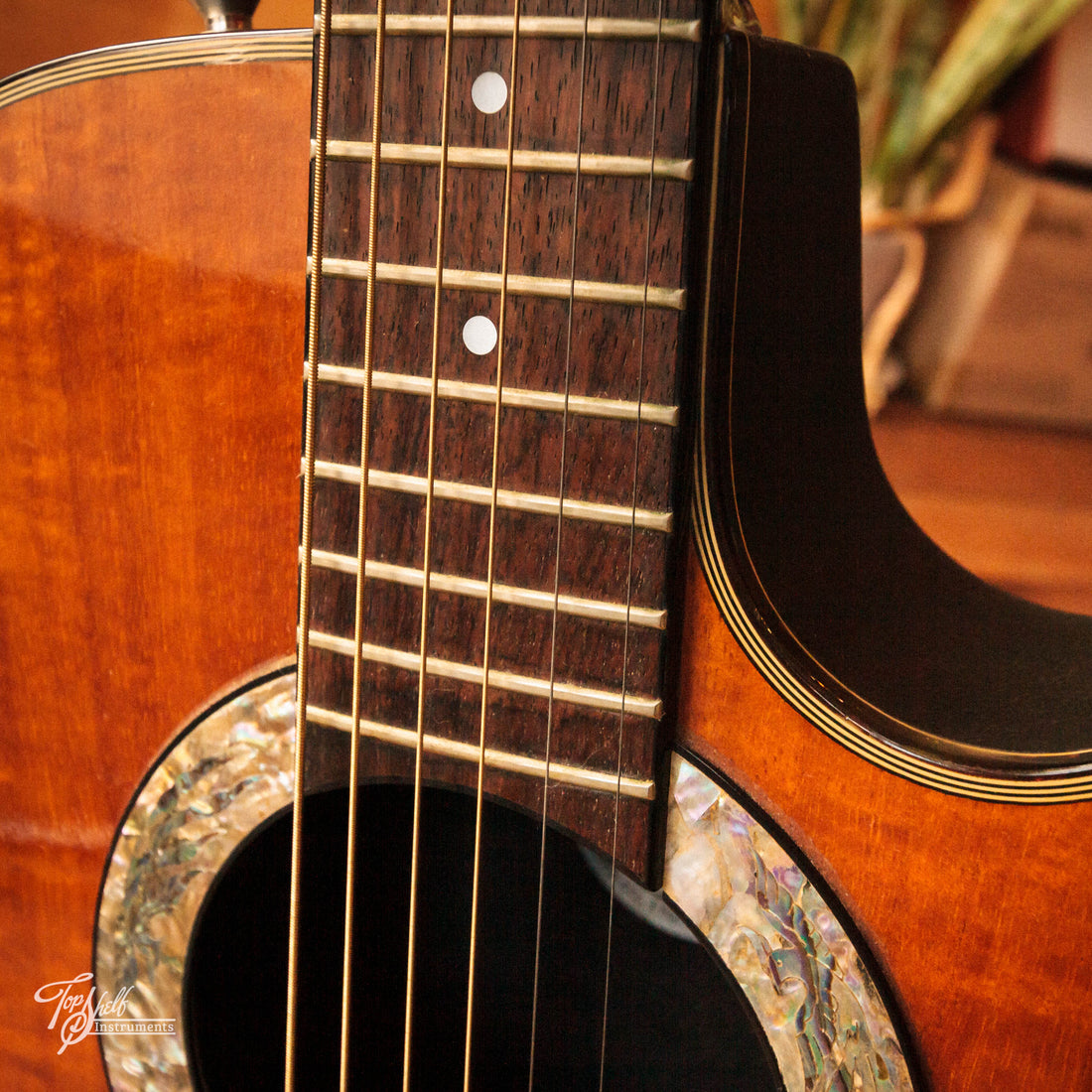 Morris Tornado Series WT808 Bowl-Back Acoustic/Electric Natural 1989
