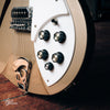 Rickenbacker 330 Desert Gold 2001