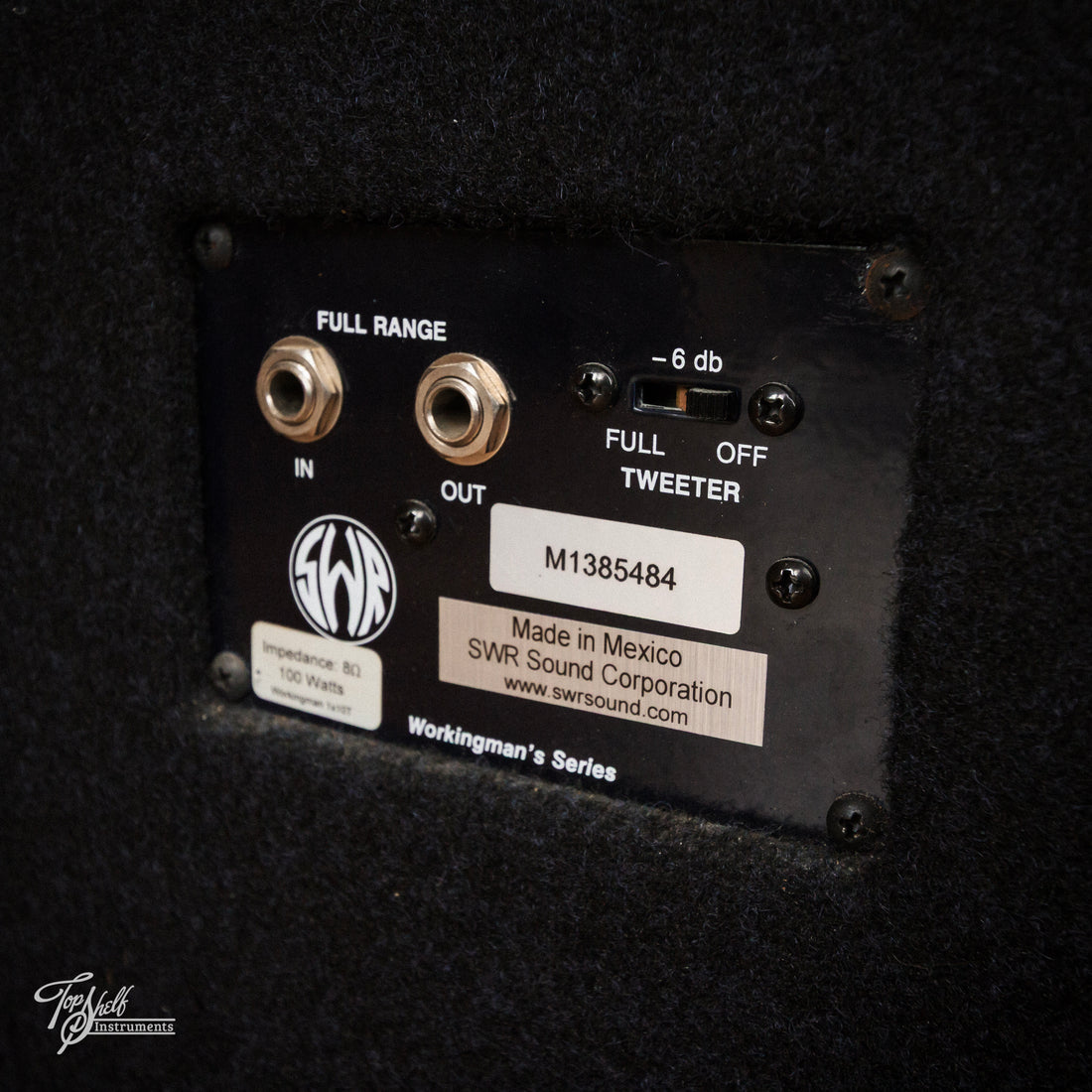 SWR Workingman's 10 Bass Amp Combo and 1X10T Cab 2004