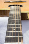 Gibson Chet Atkins SST 12-String Acoustic/Electric 1989