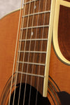 Ibanez PF17ECE-LG Acoustic/Electric 2015