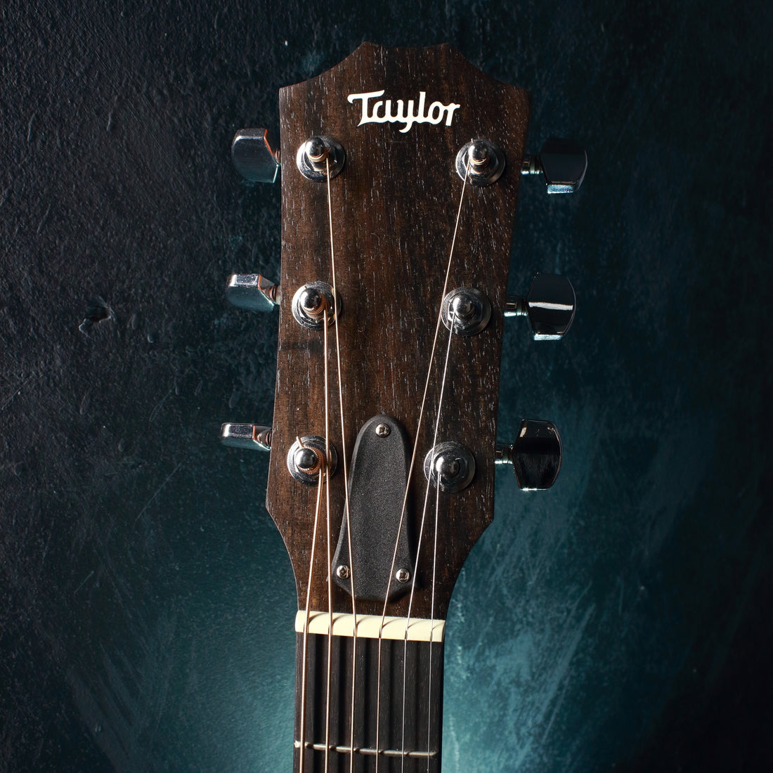 Taylor 110CE Acoustic/Electric 2018