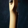 Fender Japan Standard Telecaster Sunburst 2010