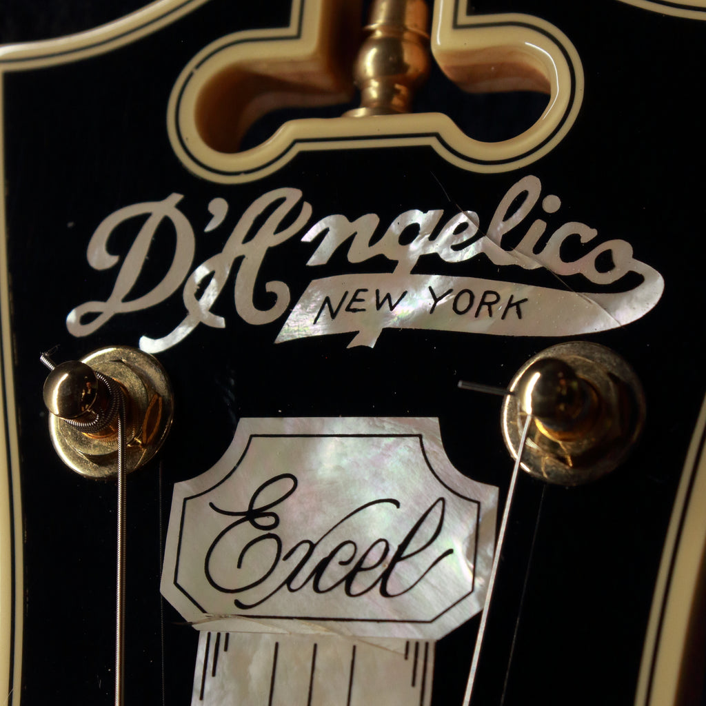 D'Angelico Excel SS Hollow Body Natural 2015