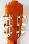 José Ramírez 2N-CWE Cutaway Nylon String Acoustic/Electric 2008
