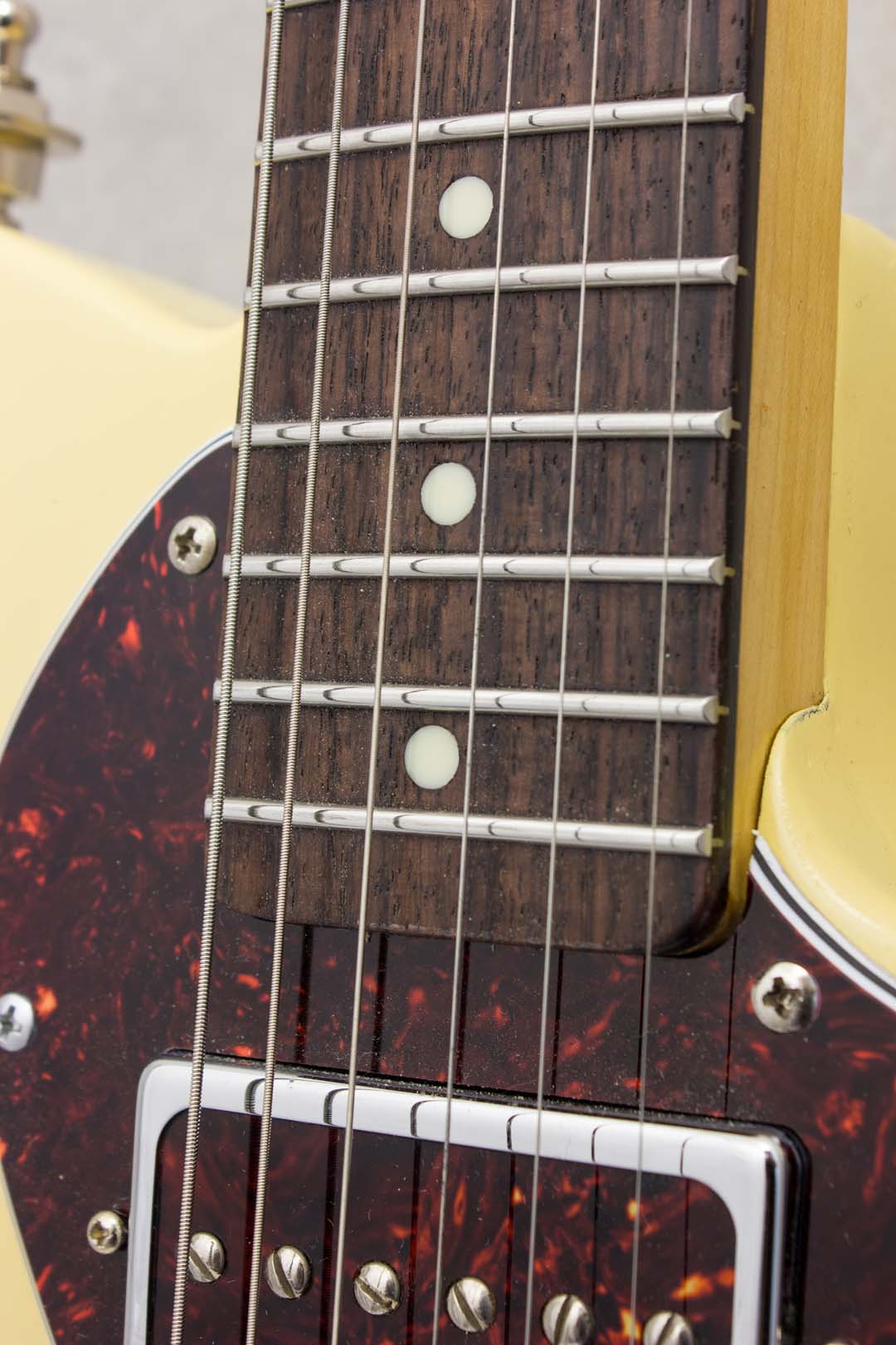Leigh Instruments Leigh Guitars Thinline Partscaster Blonde 2019 – Topshelf Instruments