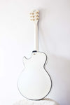 Ibanez Artcore AGR73T Thinline Hollow Twinkle Snow 2012