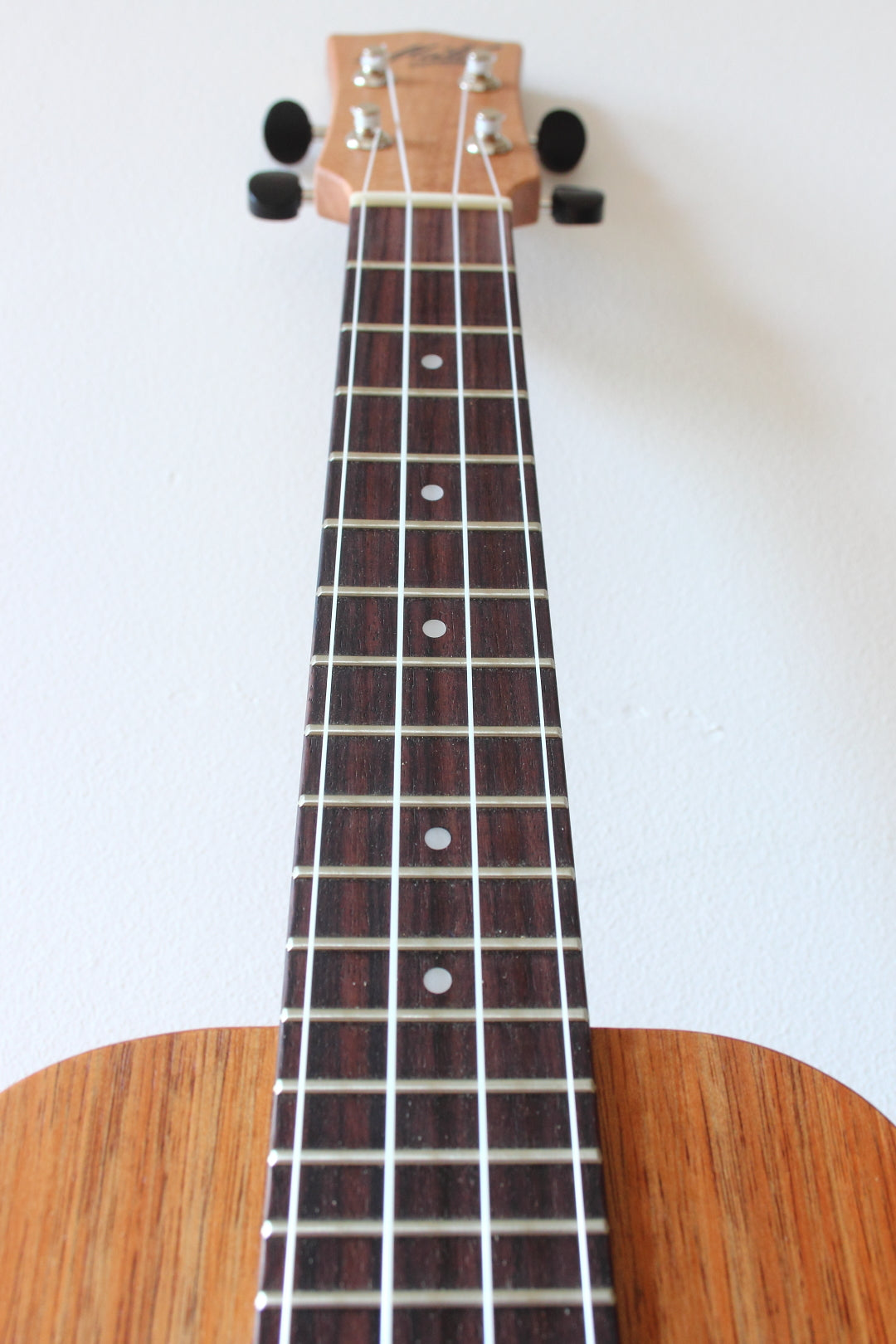 Maton Concert Ukulele 2017 Topshelf Instruments